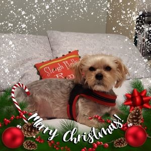 Meet your Posher, Carolyn